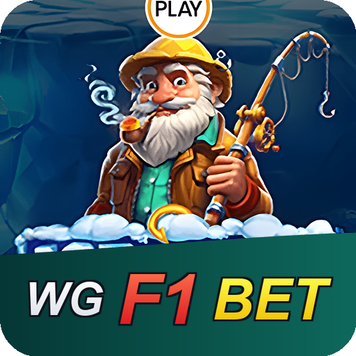 Verificação KYC WGF1BET